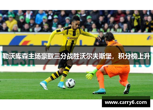 勒沃库森主场豪取三分战胜沃尔夫斯堡，积分榜上升